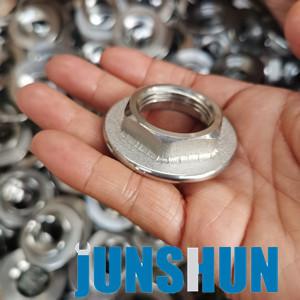 Hex Flange Nuts